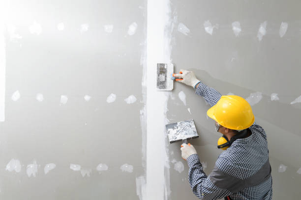 Best Environmental Consulting for Mold Prevention  in Dallas, TX